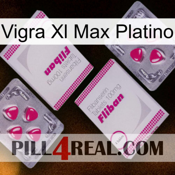 Vigra Xl Max Platinum 33.jpg